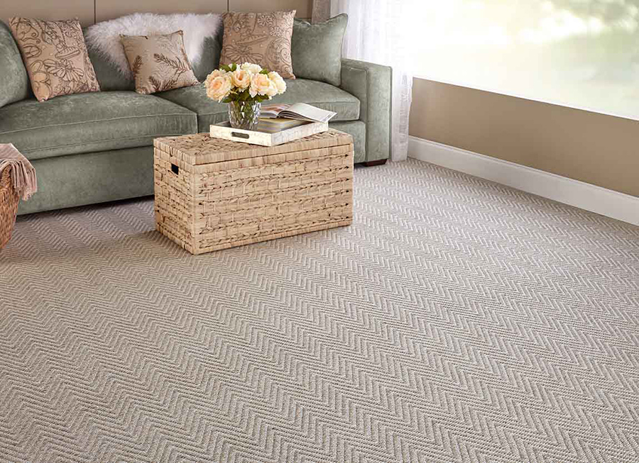 neutral living room carpet colors