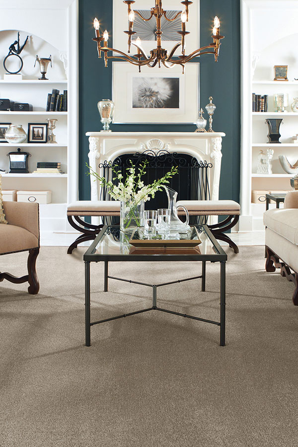 classic taupe carpet in living room
