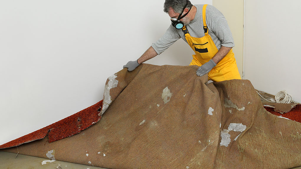 Post-remodel cleaning with a face mask and tarp for protection