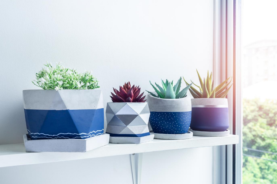 white shelf with designer potted succulents