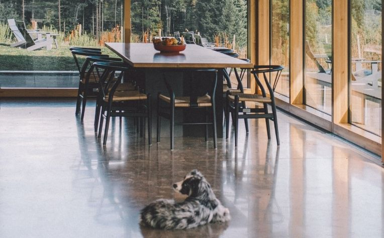 Dog laying on tile floors in a dining room. 